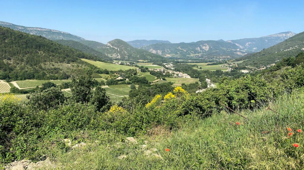 Vue du caveau bis
